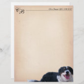 コリー縁どミックス (正面/裏面)