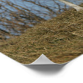 コリー縁どレグの上昇 ポスター (角)