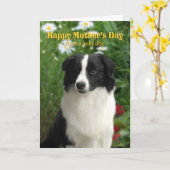 コリー縁どー・マザーズ・デイ・カード カード (黄色い花)