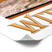 コリー縁ど共有Aビールポスター ポスター (角)