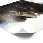 コリー縁ど写真 フォトプリント            (角)