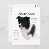コリー縁ど履歴デザイン ポストカード (正面/裏面)