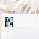 コリー縁ど差出人住所ラベル ラベル (インサイチュ)