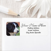 コリー縁ど差出人住所 ラベル (インサイチュ)