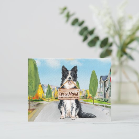 コリー縁ど引っ越しましたかわいい犬の動き 案内ポストカード (スタンド正面)