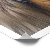 コリー顔 ポスター (角)