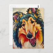 コリー3 ポストカード (正面/裏面)