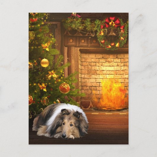 コリー・クリスマス シーズンポストカード (正面)