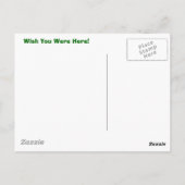 コリー・デイ・ポストカード ポストカード (裏面)