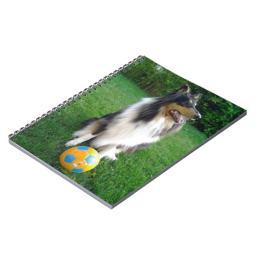 コリー ノートブック (左側)