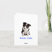 コリー·ピ縁どー·グリーティング·カード サンキューカード (裏面)