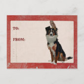 コリー＆フクロウ バレンタイン ポストカード (裏面)