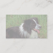 コリー 名刺 (裏面)