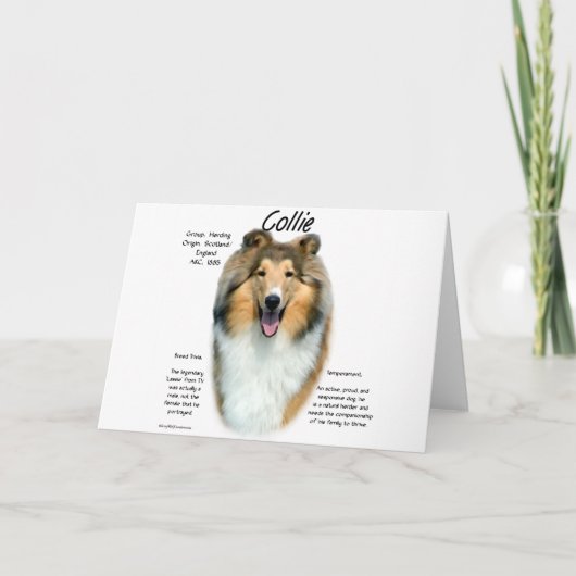 コリー(荒いクロテン)の歴史のデザイン シーズンカード (正面)