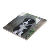 コリ縁どーの子犬の農場の生活 タイル (側面)