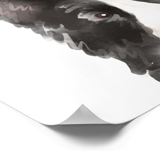 コリ縁どーウォーター色イラストレーション犬の名前 ポスター (角)