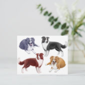 コリ縁どーズはがき ポストカード (スタンド正面)