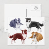 コリ縁どーズはがき ポストカード (正面/裏面)