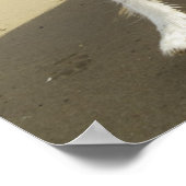 コリ縁どードッグランニングのビーチ ポスター (角)