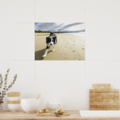 コリ縁どードッグランニングのビーチ ポスター (キッチン)