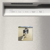 コリ縁どードッグランニングのビーチ マグネット (インサイチュ (食洗機))