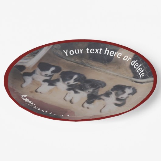 コリ縁どーパピズアートパーソナライズされたパーティー ペーパープレート (アングル)