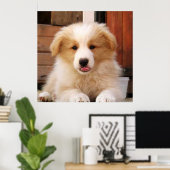 コリ縁どーパピー～ゴールデンオズレッド ポスター (ホームオフィス)