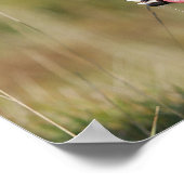 コリ縁どーパンティングヘッドショット2 ポスター (角)