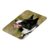 コリ縁どーパンティングヘッドショット2 マグネット (左側)