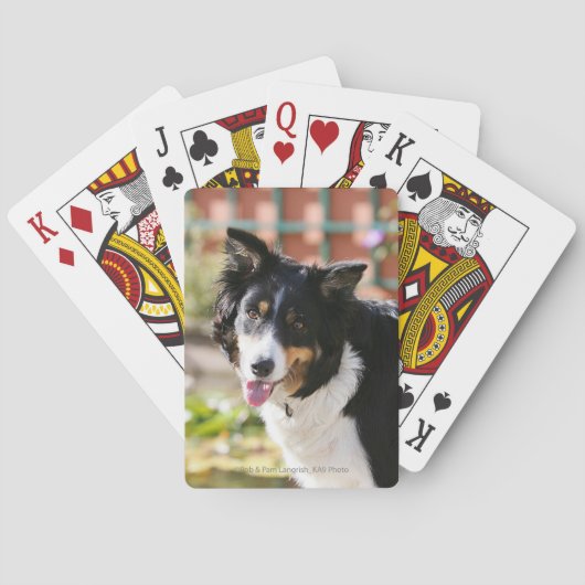 コリ縁どーパンティング1 トランプ (裏面)