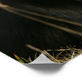 コリ縁どーパンティンヘッドショット1 ポスター (角)