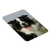 コリ縁どーパンティンヘッドショット1 マグネット (右側)