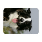 コリ縁どーパンティンヘッドショット1 マグネット (横)