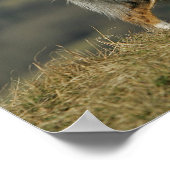 コリ縁どーパンティン2 ポスター (角)