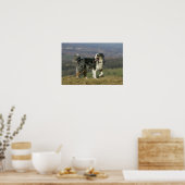 コリ縁どーパンティン2 ポスター (キッチン)