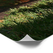 コリ縁どーー秋の立ち ポスター (角)