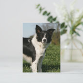 コリ縁どーー立ち ポストカード (スタンド正面)