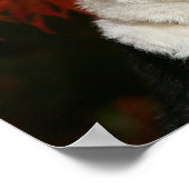 コリ縁どー秋のヘッドショット ポスター (角)