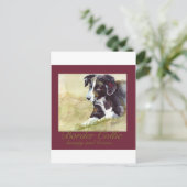 コリ縁どー美しいと脳 ポストカード (スタンド正面)