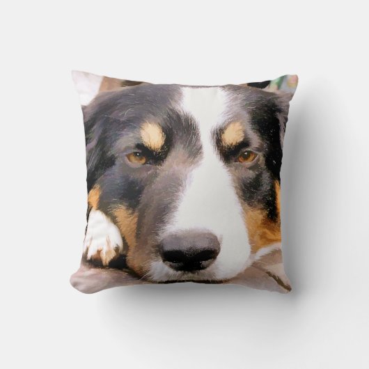 コリ縁どー クッション (正面)