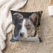 コリ縁どー クッション (ブランケット)