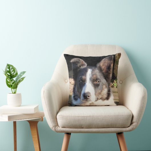 コリ縁どー クッション (椅子)