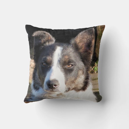 コリ縁どー クッション (裏面)