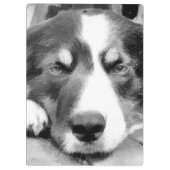 コリ縁どー クリップボード (裏面)