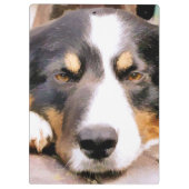 コリ縁どー クリップボード (裏面)