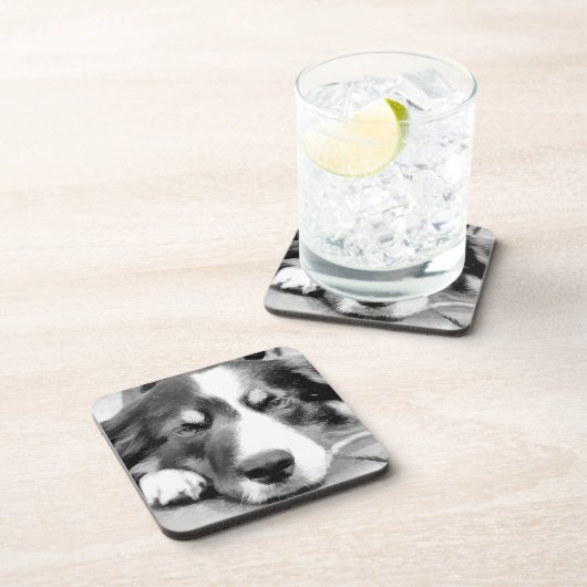 コリ縁どー コースター (右側)