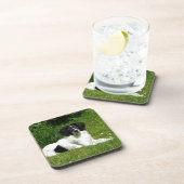 コリ縁どー コースター (右側)