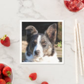 コリ縁どー スタンダードカクテルナプキン (インサイチュ)