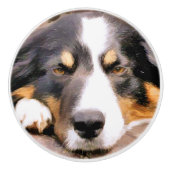 コリ縁どー セラミックノブ (正面)