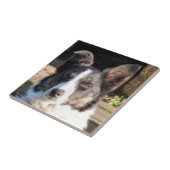 コリ縁どー タイル (側面)